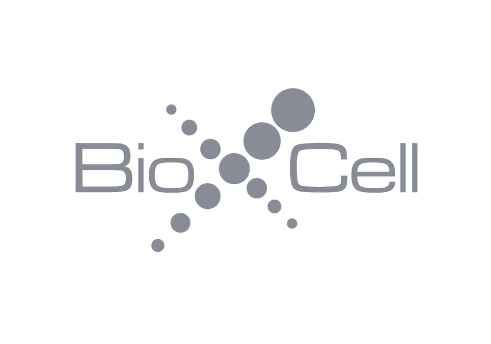 InVivoMAb anti-mouse Vγ2 TCR