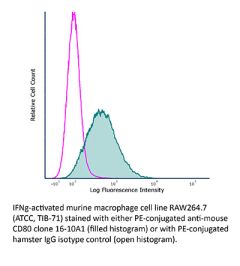 Flow Cytometry