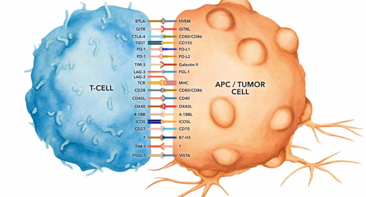 Immune-pathways-vibrant.jpeg-scaled