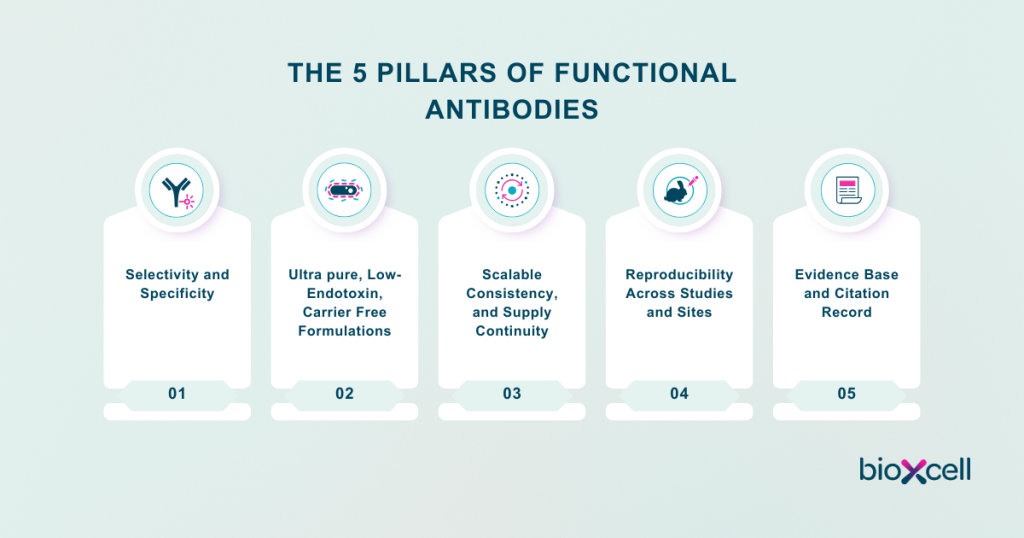 The 5 Pillars of Functional Antibodies