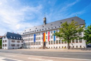 Bio&nbsp;X&nbsp;Cell Now Ships Direct to Germany