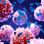 cancer model systems